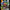 Digital Monster COLOR (Ver. 3-5) [SEP 2023]