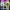 Digital Monster COLOR (Ver.1-2) - Clear | Smoke [DEC 2023]