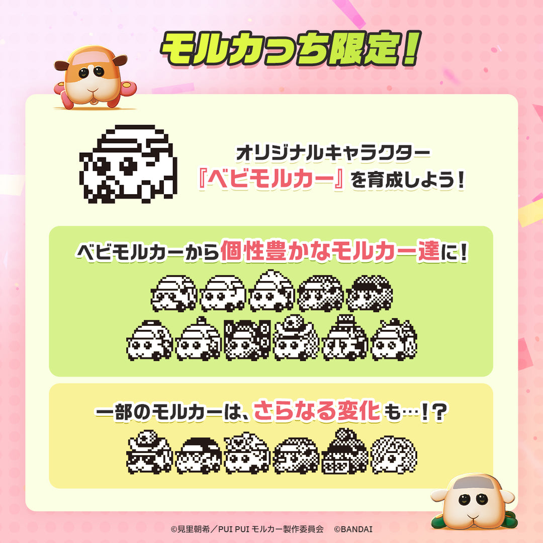 [NEW] PUI PUI Molcartchi Canon Design Edition Bandai [ SEP 2025 ] [Made in China]
