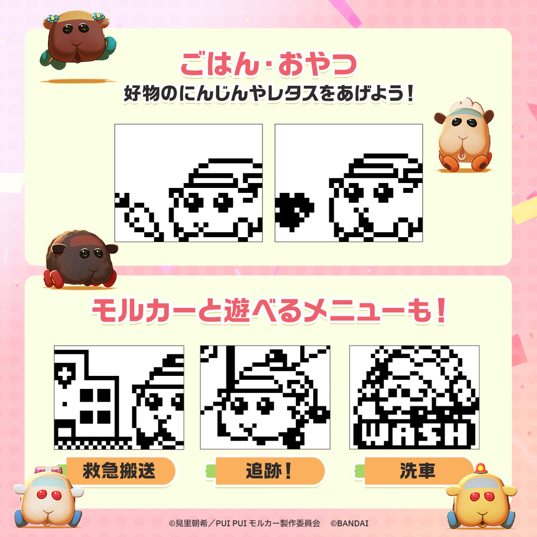 [NEW] PUI PUI Molcartchi Canon Design Edition Bandai [ SEP 2025 ] [Made in China]