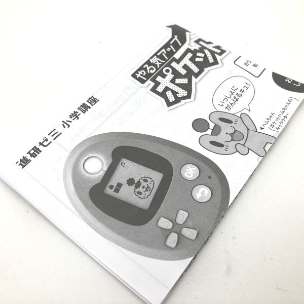 [Used] Pocket Hamchan No Box Shinken Zemi Japan