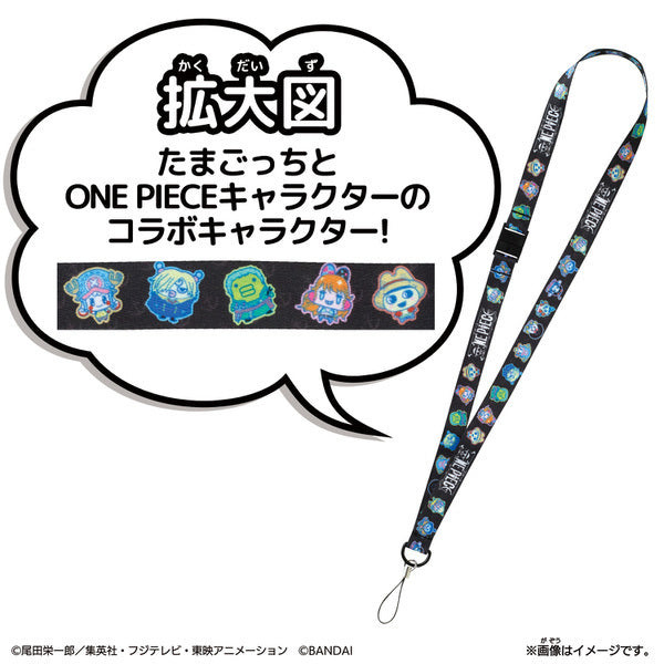 100000001007258509_10239