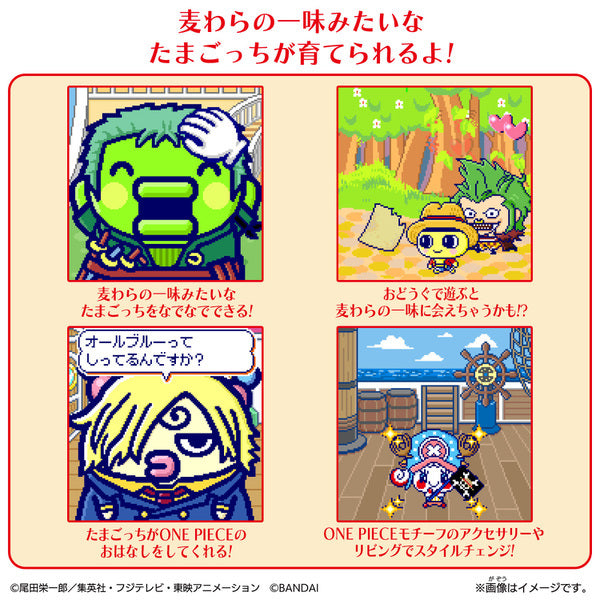 NEW] Tamagotchi Smart -TamaSma Card- ONE PIECE Friends Bandai