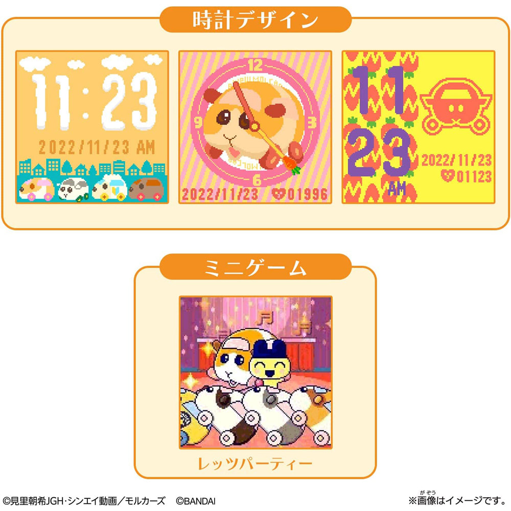 71NVvKuyLWL._AC_SL1500_